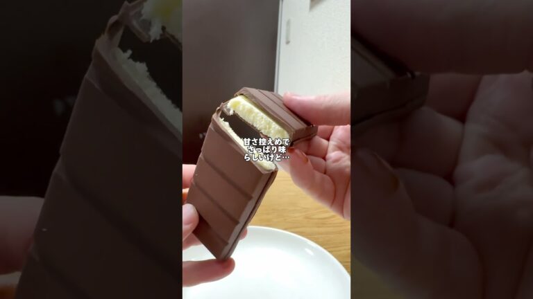 板チョコアイスって地味だけどめちゃ美味しい❣️【コンビニ新商品】 夏限定板チョコアイス #コンビニ新商品 #アイス #コンビニアイス #板チョコアイス #チョコレート #チョコ