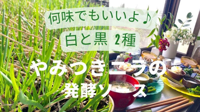 やみつきニラの発酵ソース #ニラ #ニラレシピ #ニラだけレシピ #簡単ニラレシピ #発酵 #麹 #毎日食べたい #山形 #隠れ家サロン #それいゆの家 @soreiyunoie