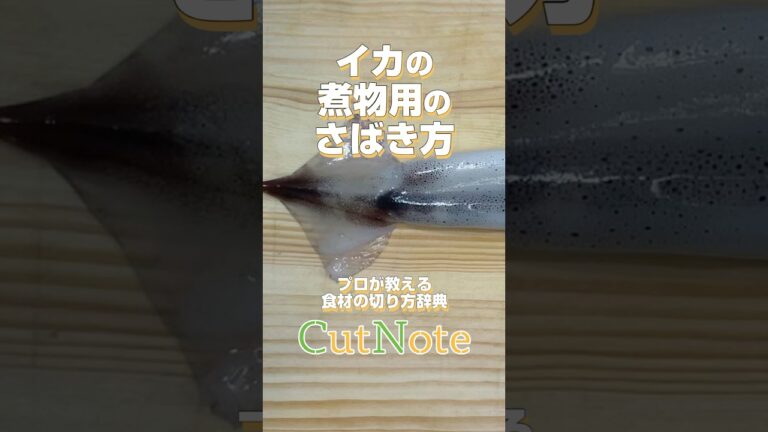 イカの煮物用のさばき方 #shorts #料理  #魚