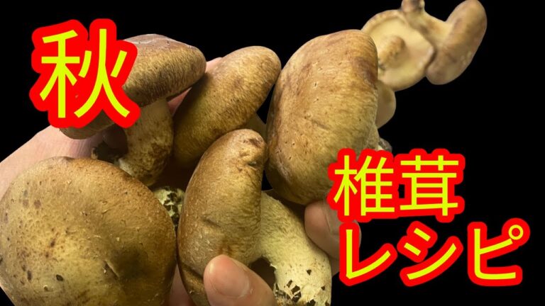 【絶品おかず】10分で完成！ジューシー椎茸の肉詰め焼き