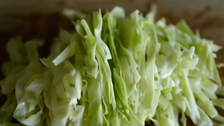 kurashi-no-kihon｜きほんの コールスロー