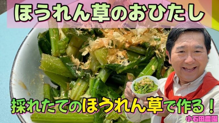 【緊急収穫】成長し過ぎたほうれん草でおひたしを作る