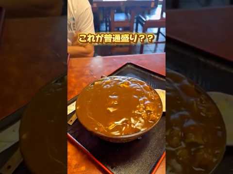 【千葉グルメ】普通盛りを注文したらすごいボリュームのカレー南蛮うどんが出てきたよ！#千葉県#千葉グルメ#千葉#カレー