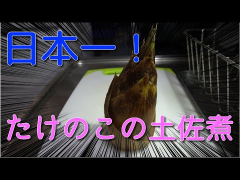 【日本一？】たけのこの土佐煮　JAPAN food　JAPAN Cooking　Japanese style　bambooshoot　simmeredbambooshoot　Boiled Food
