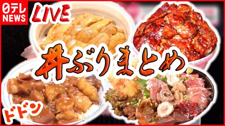 【どんぶりまとめ】肉の山！？甘口タレの焼肉丼/二層の卵でふわとろ親子丼/極厚とんかつ丼を計測！　など（日テレNEWS LIVE）