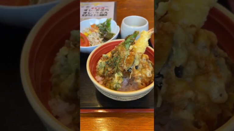 【どってん家】『W丼(天丼と海鮮丼)』940円　動画は青森市となってますが、正しくはむつ市です。青森県むつ市#青森 #ラーメン #ランチ