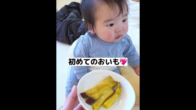 固形のさつまいもあげてみたら、離乳食のサラサラしたもの以外はまだ食べ物と認識してなかったｗｗ #Shorts