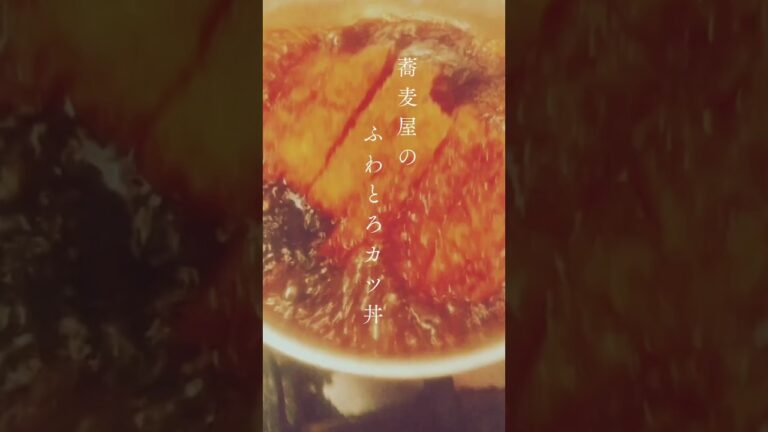 #カツ丼#愛知#岡崎市#うどん#ランチ#蕎麦