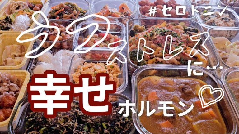 【作り置き14品】「うつ病・ストレス」緩和したい！気持ち上向きセロトニン⤴/切り干し大根/牛肉/ブロッコリー/切り昆布/わかめ/鶏肉