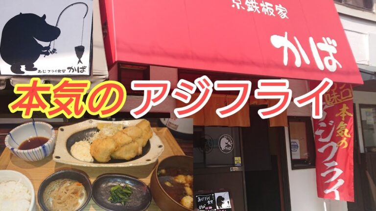 【本気のアジフライ】アジフライ通が通うアジフライ食堂【かば】