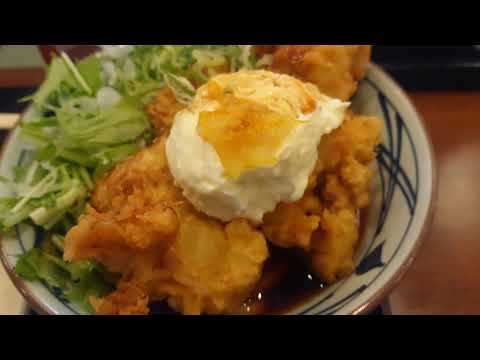 【実況】丸亀製麺のタル鶏天ぶっかけうどんの食レポ‼️なかなか言いにくい。タルトリ。。
