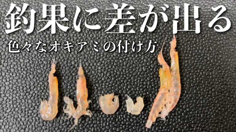 初心者必見！知っておくべきオキアミの付け方。【グレ】【チヌ】【真鯛】