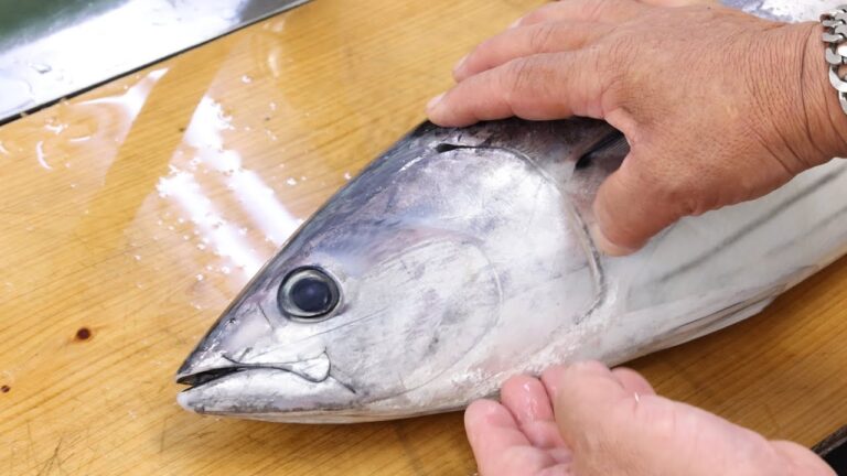 【かつおの捌き方＆タタキ】かつお一本釣り船の元船頭が教えるカツオの捌き方＆タタキの作り方