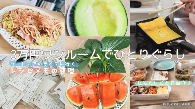 【042 自炊ルーティン】モッシュダイブありのライブに行った🔥スイカとメロン食べる🍈電話予約が必要な病院に行き辛い｜レシピメモを整理✍ひとり暮らしのおうちごはん【一人暮らし/フリーター/在宅勤務】