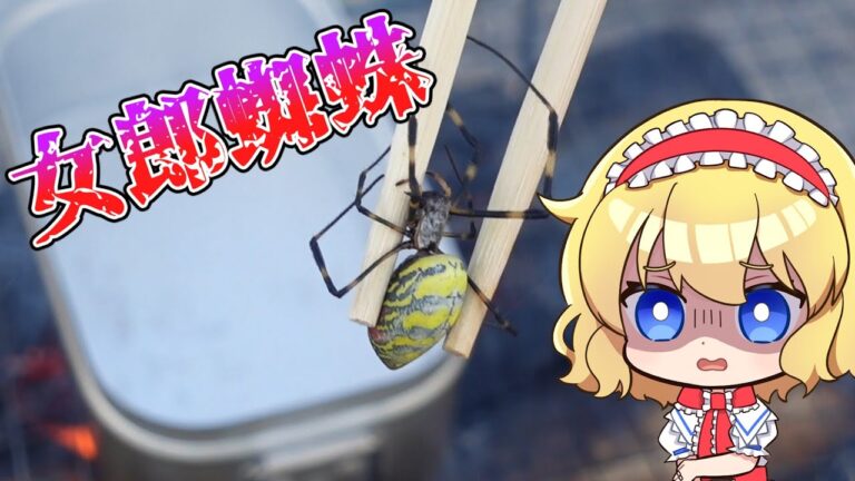 【ゆっくり実況】山で遭難しても食べれる食材紹介したついでに作るトマトスープ【ゆっくり料理】【ゆっくり解説】