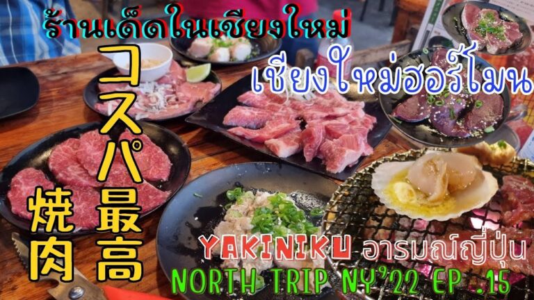 コスパ最高焼肉「チェンマイホルモン」 北タイの旅2022 Part15 /DeliciousYAKINIKU in Chiang Mai【EP.96】