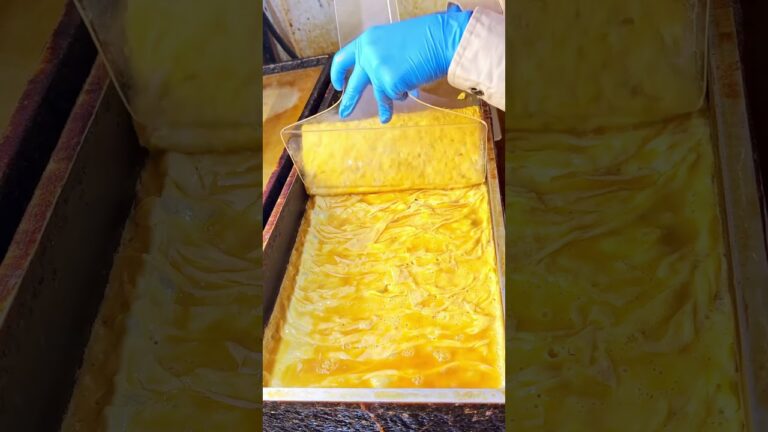 湘南しらすを贅沢に使っただし巻き卵！ふんわり食感としらすの旨味が広がる一品【はんなりいなり】 #japanesefood