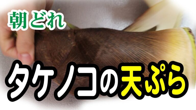 朝どれタケノコの天ぷら