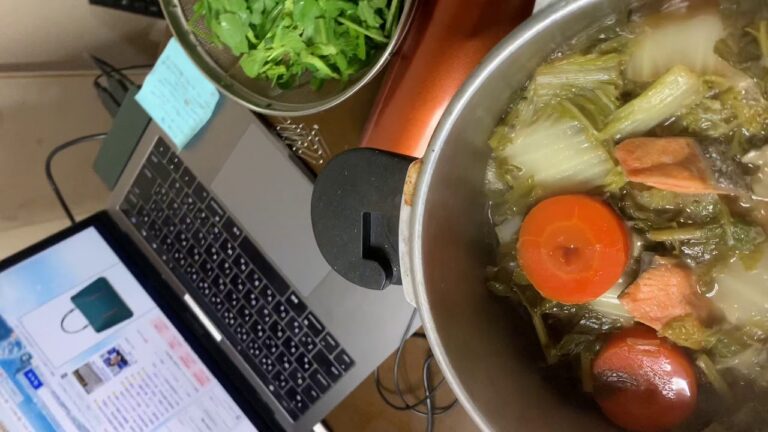 家主さんに頂いたお野菜いっぱいの白菜、大根、カブラ、ネギ、春菊、椎茸、人参、シャケ♬  等で寄せ鍋🫕でーす