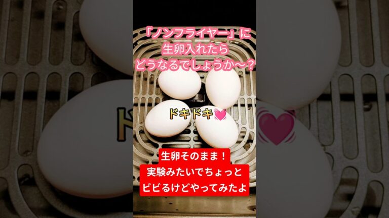 「ノンフライヤー」に卵を入れたらどうなる？