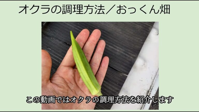 オクラの調理法！意外と知られてない天ぷらや美味しさを逃さない下処理の方法/おっくん畑
