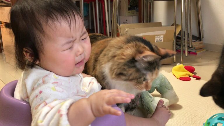 【猫と赤ちゃん】そのクッキー
