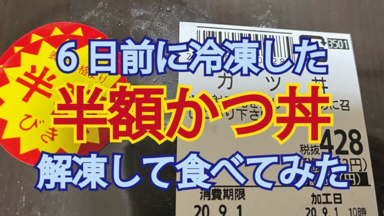 6日前に冷凍保存した半額かつ丼解凍して食べてみた　腐らない？