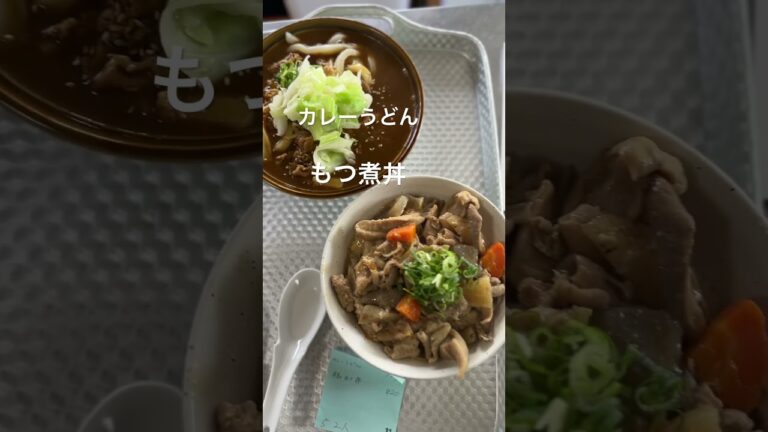 カレーうどん もつ煮丼うどん屋源さん石和駅前店山梨