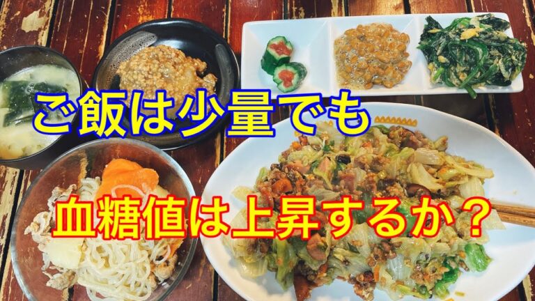 【糖質制限食 血糖値実験室】玄米＋十六穀米（90g）のレタスチャーハンなら血糖値は押さえられるか？