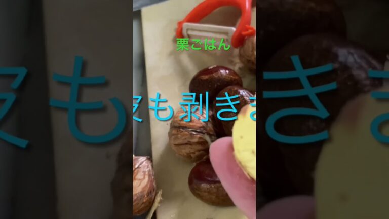 美味しい栗ご飯😋 How to make delicious chestnut rice