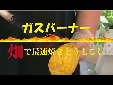 ガスバーナーで焼きとうもろこし