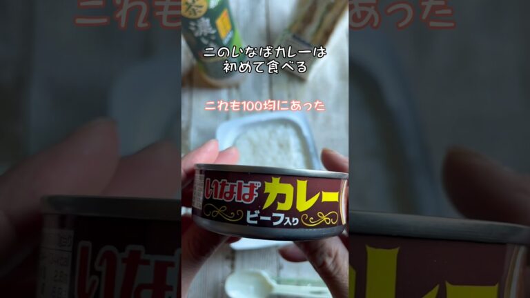 今日の昼ご飯#いなば #カレー #ランチ #チャレンジャー #food #shorts