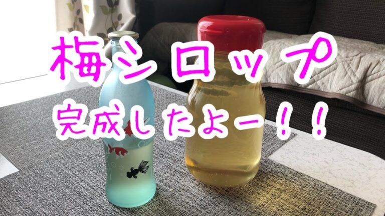 初めての梅シロップ作り後編。梅シロップ出来上がり〜！！までの26日間。