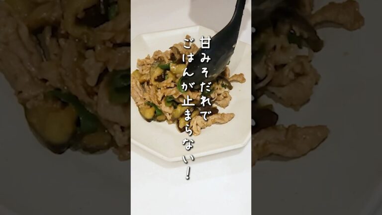 ごはんに合いすぎるなすと豚肉のおかず！おいしく仕上げるコツは…！？こどもの取り分けレシピも紹介