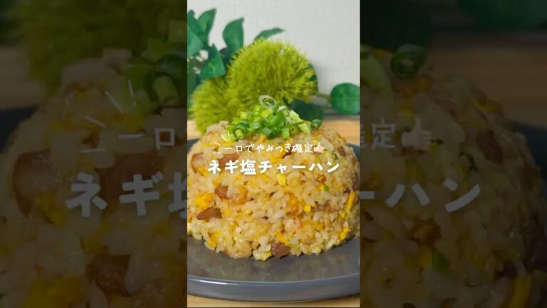 ネギ塩チャーハン✌🏼 簡単にお店の味に✨ #簡単レシピ #今日の晩ごはん #料理 #チャーハン #ネギ塩 #炒飯 #shorts
