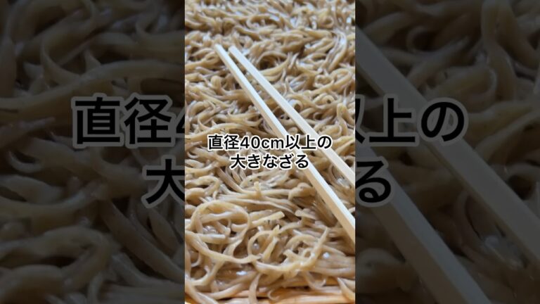 【足利】大ざるでおなじみ😋山間部にある行列のできる蕎麦！十勝屋本店