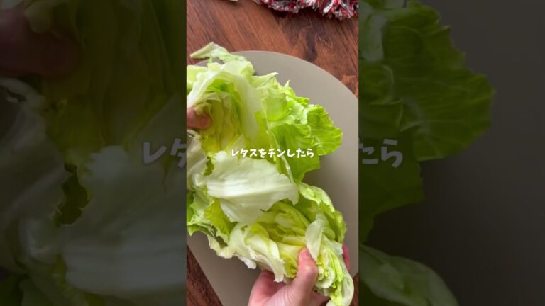 【農家のレシピ】レタス一玉ペロリ😋麻薬たまレタス✨
