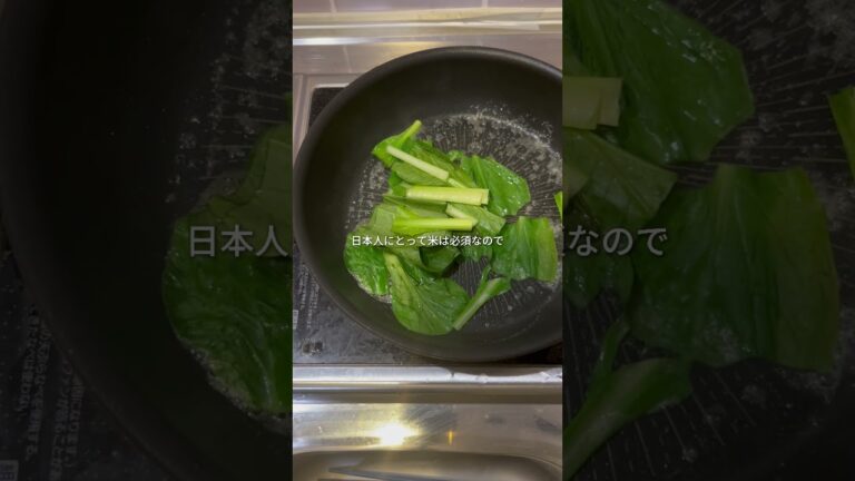 材料パスタ　８０g小松菜　1/2袋しらす　1/2パック醤油、顆粒だし　小さじ１作り方①小松菜を一口台に②パスタを茹でる③同じフライパンにバターを敷いて④小松菜、しらすの順に炒めてパスタを加える。