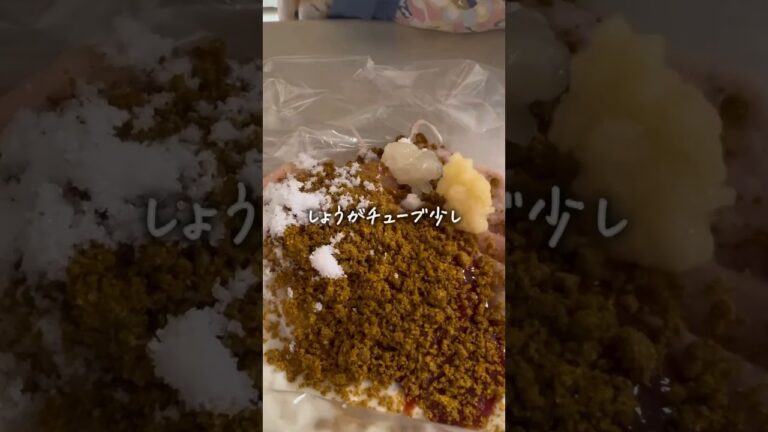 【タンドリーチキン】