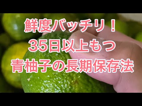 【青柚子の長期保存】３５日以上新鮮なまま保存する方法