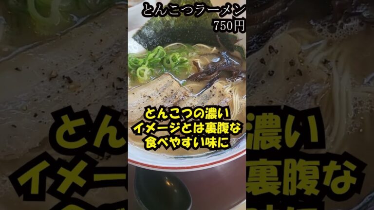 本場の味！滋賀・栗東の博多麺道楽で博多ラーメン