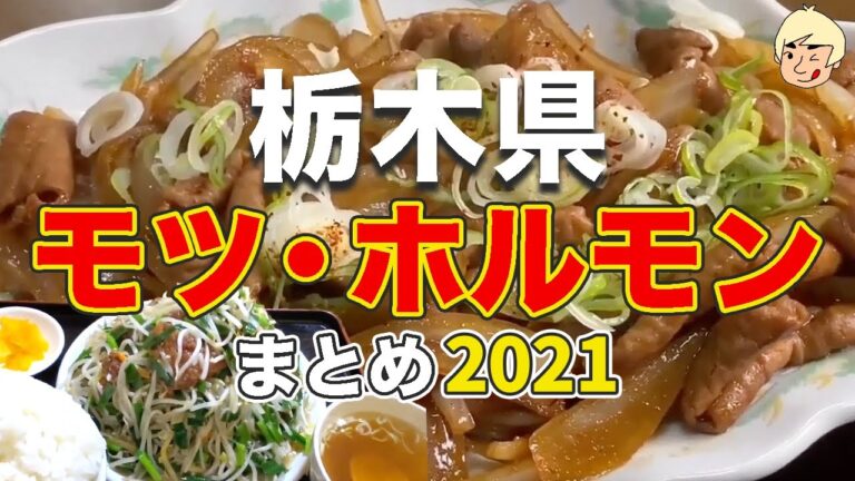 栃木県で2021年に食べたうみゃ〜なモツ・ホルモンまとめ【宇都宮市/下野市/大田原市/上三川町/那珂川町】