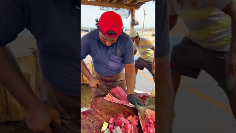 Huge Yellowfin Tuna Fish Cutting Skill | Boss Tuna Fish Cutting