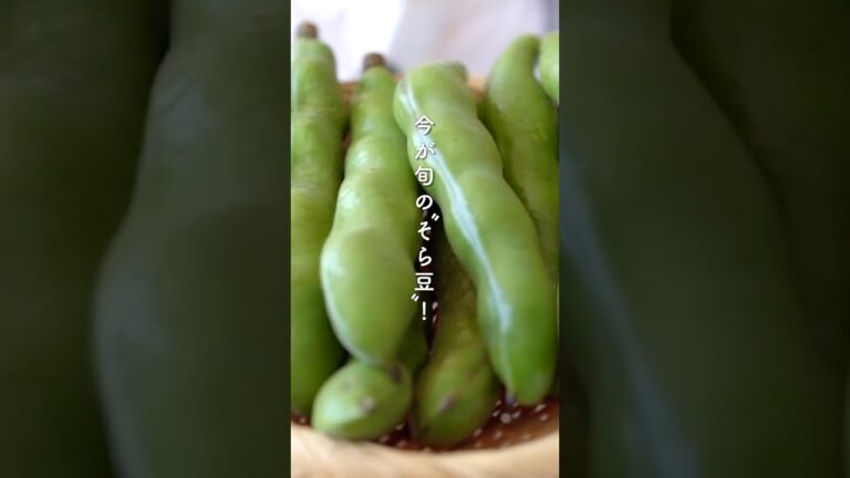 塩茹で不要！そら豆ペペロンのレシピ・作り方 #shorts #料理 #cooking #簡単レシピ #おつまみ