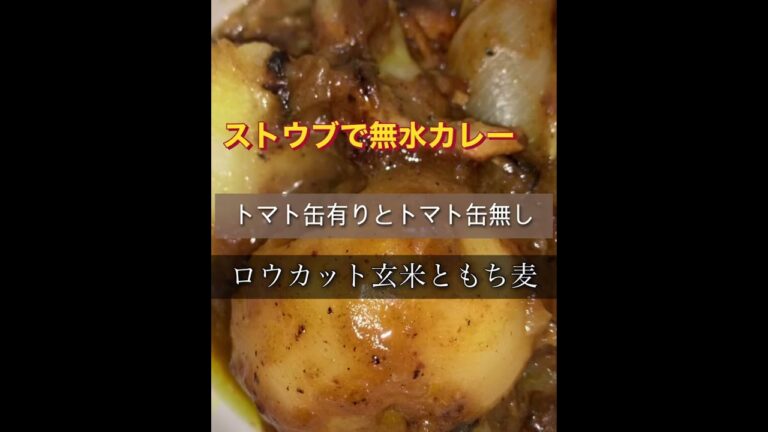 ストウブで、無水カレー、トマト缶有りと無し、玄米でカレー