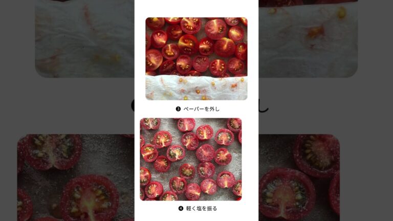 簡単！ドライトマト作り#常備菜#プチトマト消費#簡単レシピ#トマトレシピ#おつまみレシピ #放置レシピ #簡単レシピ #オーブンレシピ #料理 #おうちごはん