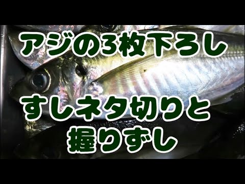アジの３枚下ろしと握りずしの手順（ 初心者向け ）