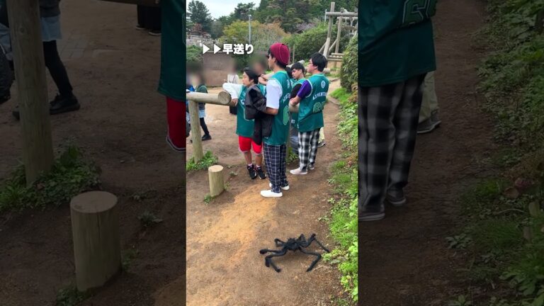 巨大グモドッキリ🕷️ spider plank