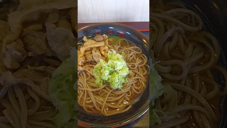 バラ亭　冷たい肉そば大盛り　山形県村山市　#そば #蕎麦 #夏 #山形 #おいしい #japanesefood