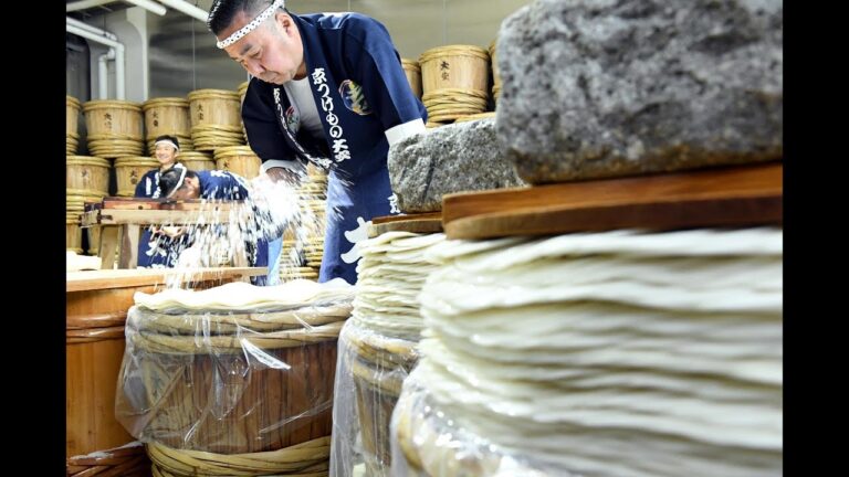 京の冬の風物詩　千枚漬けの漬け込みが最盛期